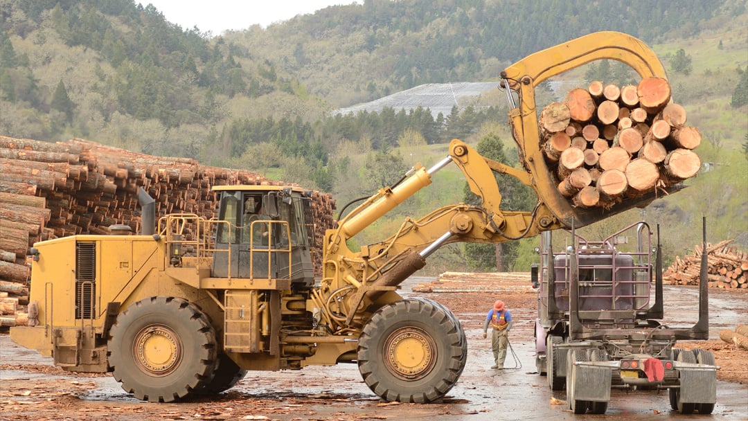 Forestry unloading content 1080 x 608