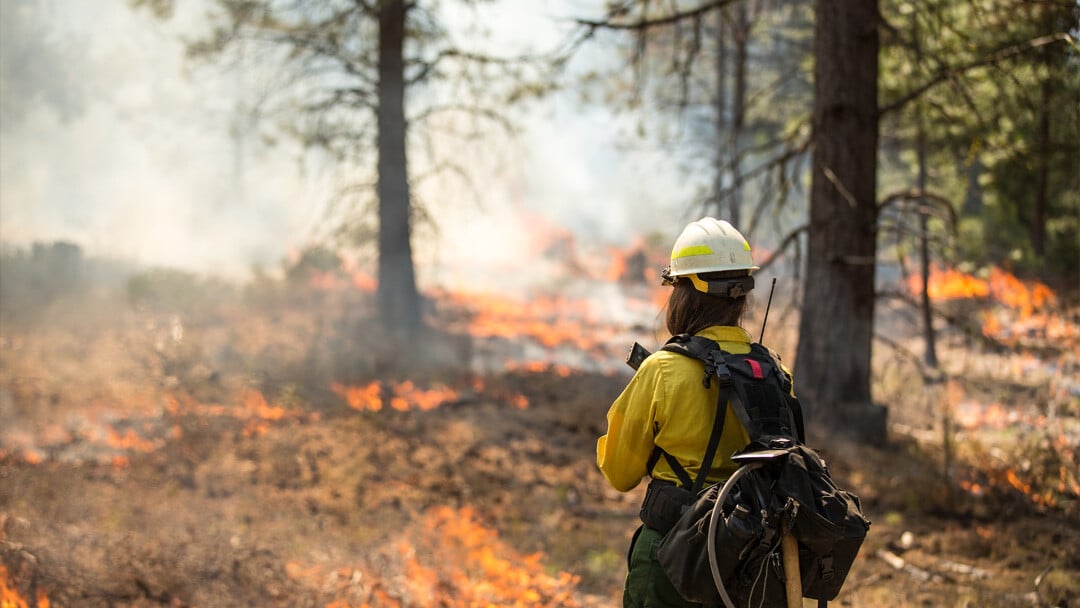 Wildfire firefighter content 1080 x 608